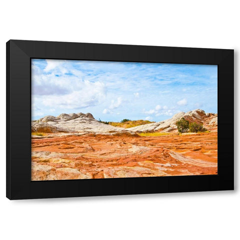 USA-Arizona-Vermilion Cliffs National Monument White Pocket Black Modern Wood Framed Art Print by Friel, Bernard