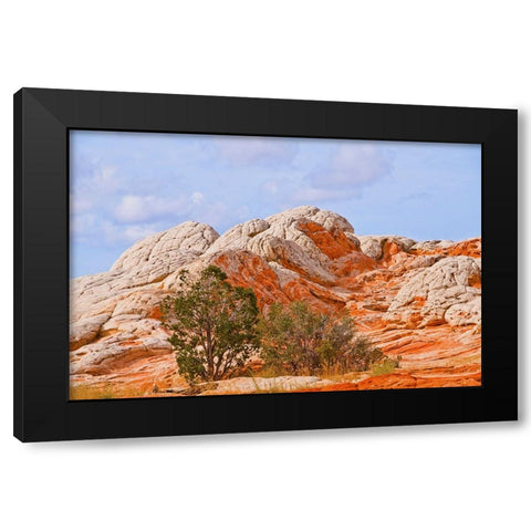 USA-Arizona-Vermilion Cliffs National Monument White Pocket Black Modern Wood Framed Art Print with Double Matting by Friel, Bernard