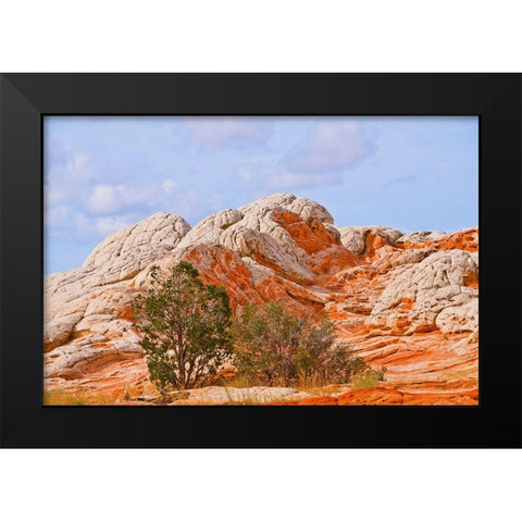 USA-Arizona-Vermilion Cliffs National Monument White Pocket Black Modern Wood Framed Art Print by Friel, Bernard