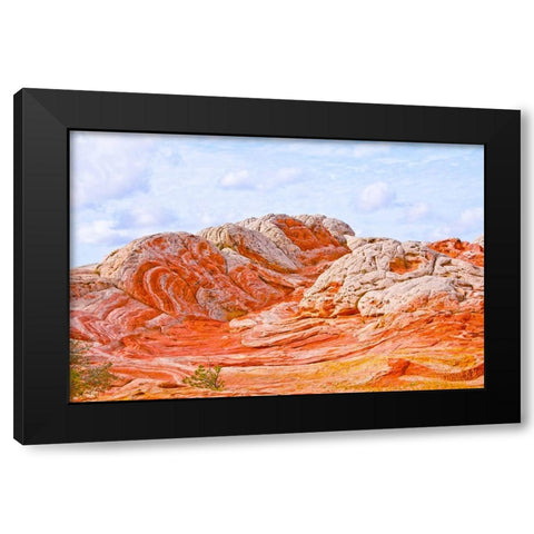 USA-Arizona-Vermilion Cliffs National Monument White Pocket Black Modern Wood Framed Art Print with Double Matting by Friel, Bernard