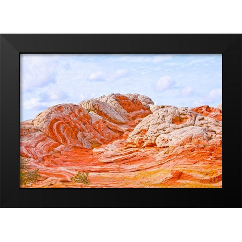 USA-Arizona-Vermilion Cliffs National Monument White Pocket Black Modern Wood Framed Art Print by Friel, Bernard