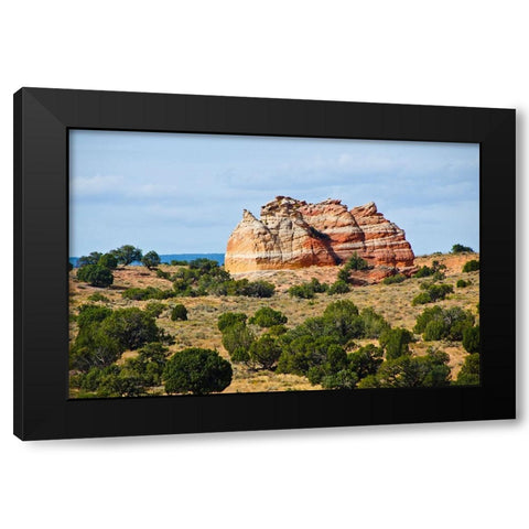 USA-Arizona-Vermilion Cliffs National Monument White Pocket Black Modern Wood Framed Art Print by Friel, Bernard