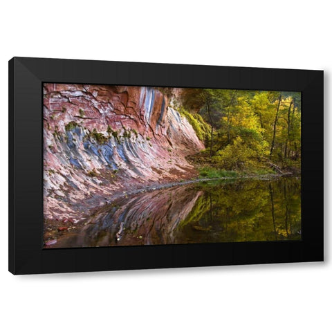 AZ, Sedona Cliff recflection along a creek Black Modern Wood Framed Art Print with Double Matting by OBrien, Jay