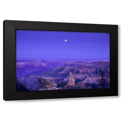 AZ, Grand Canyon, Moonrise over Point Imperial Black Modern Wood Framed Art Print by Welling, Dave