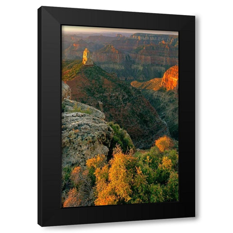 AZ, Grand Canyon, Sunrise at Point Imperial Black Modern Wood Framed Art Print by Welling, Dave