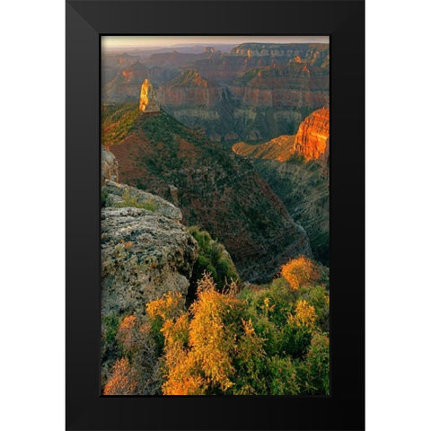 AZ, Grand Canyon, Sunrise at Point Imperial Black Modern Wood Framed Art Print by Welling, Dave