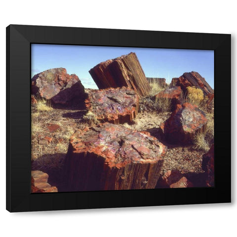 Arizona, Petrified Forest NP Petrified logs Black Modern Wood Framed Art Print by Talbot Frank, Christopher