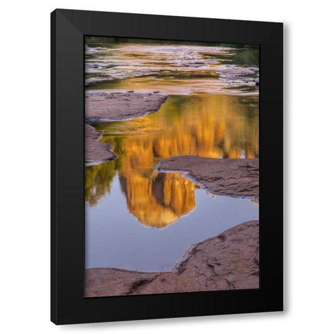 Arizona, Sedona Cathedral Rock reflects in creek Black Modern Wood Framed Art Print with Double Matting by OBrien, Jay