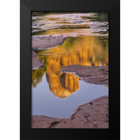 Arizona, Sedona Cathedral Rock reflects in creek Black Modern Wood Framed Art Print by OBrien, Jay