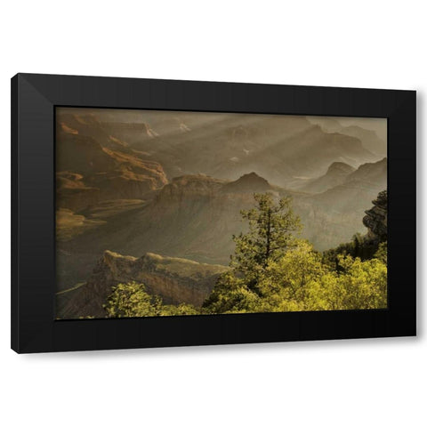 AZ, Grand Canyon, God rays over rock formations Black Modern Wood Framed Art Print by OBrien, Jay