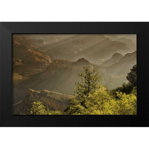 AZ, Grand Canyon, God rays over rock formations Black Modern Wood Framed Art Print by OBrien, Jay