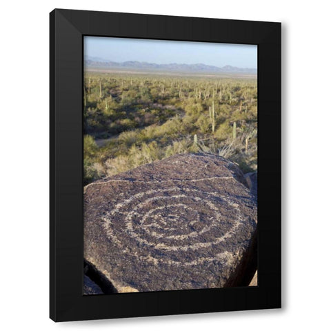 Arizona, Saguaro NP Hohokam Indian petroglyph Black Modern Wood Framed Art Print with Double Matting by Paulson, Don