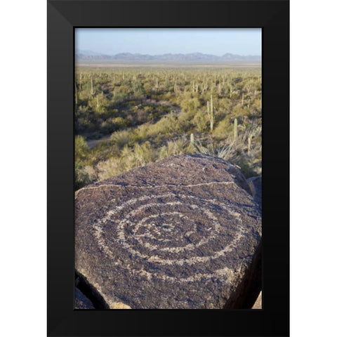 Arizona, Saguaro NP Hohokam Indian petroglyph Black Modern Wood Framed Art Print by Paulson, Don