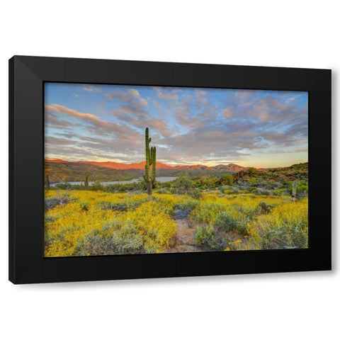 AZ, Lake Bartlett Sunset on desert landscape Black Modern Wood Framed Art Print with Double Matting by Lord, Fred