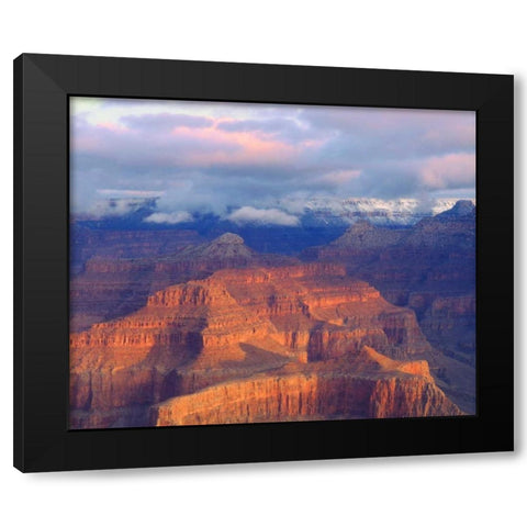 USA, Arizona, Grand Canyon NP in winter Black Modern Wood Framed Art Print with Double Matting by Talbot Frank, Christopher