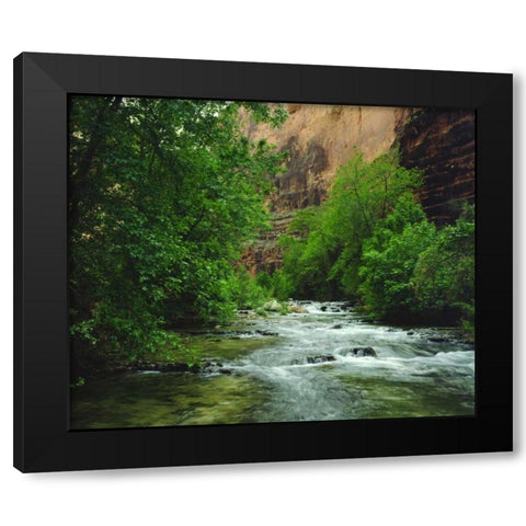 AZ, Havasupai Havasu Creek in the Grand Canyon Black Modern Wood Framed Art Print by Talbot Frank, Christopher