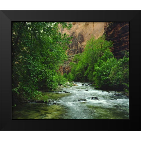 AZ, Havasupai Havasu Creek in the Grand Canyon Black Modern Wood Framed Art Print by Talbot Frank, Christopher