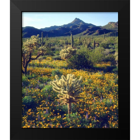 Arizona, Organ Pipe Cactus NM flowers and cacti Black Modern Wood Framed Art Print by Talbot Frank, Christopher