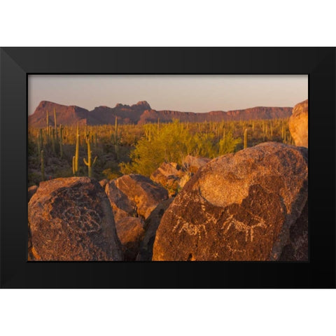 AZ, Sonoran Desert Saguaro and petroglyphs Black Modern Wood Framed Art Print by Illg, Cathy and Gordon