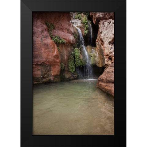 Arizona, Grand Canyon NP View of Elves Chasm Black Modern Wood Framed Art Print by Grall, Don