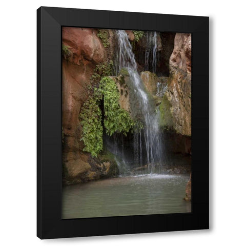 Arizona, Grand Canyon Waterfall at Elves Chasm Black Modern Wood Framed Art Print by Grall, Don