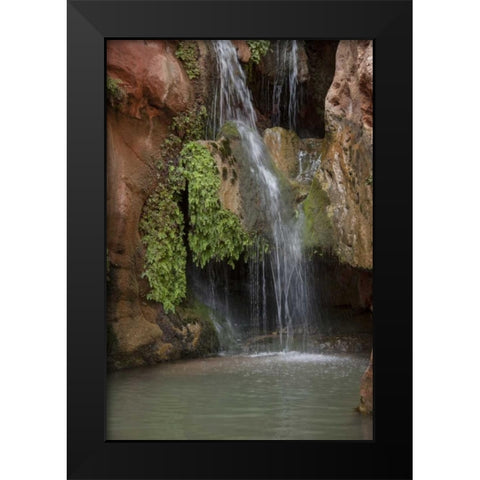 Arizona, Grand Canyon Waterfall at Elves Chasm Black Modern Wood Framed Art Print by Grall, Don