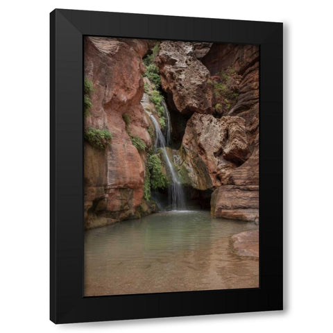Arizona, Grand Canyon Waterfall at Elves Chasm Black Modern Wood Framed Art Print by Grall, Don