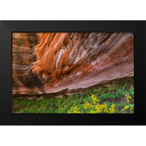 Arizona Hanging Garden in Canyon X Black Modern Wood Framed Art Print by Paulson, Don