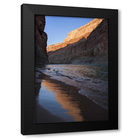Arizona, Grand Canyon Desert sunrise Black Modern Wood Framed Art Print with Double Matting by Grall, Don
