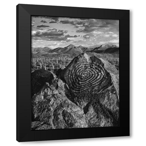 Arizona, Saguaro NP Petroglyphs on Signal Hill Black Modern Wood Framed Art Print by Flaherty, Dennis