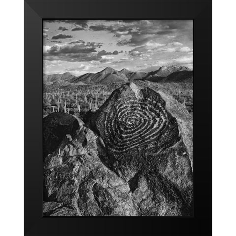 Arizona, Saguaro NP Petroglyphs on Signal Hill Black Modern Wood Framed Art Print by Flaherty, Dennis