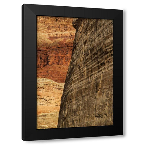 AZ, Grand Canyon, Sandstone wall in Marble Canyon Black Modern Wood Framed Art Print with Double Matting by Grall, Don