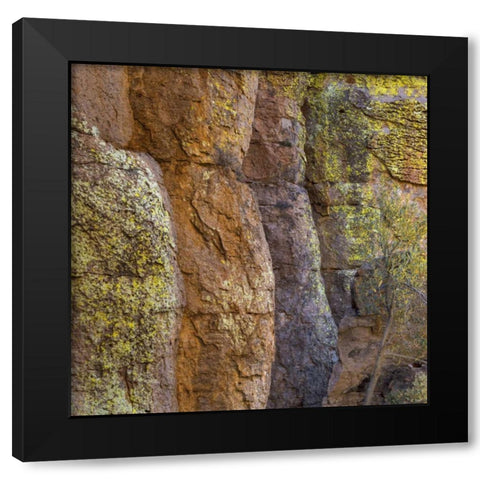 Arizona, Chiricahua National Monument Cliff face Black Modern Wood Framed Art Print with Double Matting by Paulson, Don