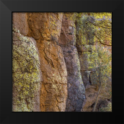 Arizona, Chiricahua National Monument Cliff face Black Modern Wood Framed Art Print by Paulson, Don