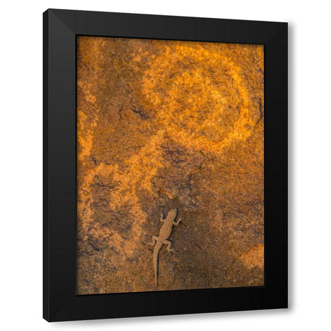AZ, Painted Rock Petroglyph Site and lizard Black Modern Wood Framed Art Print by Illg, Cathy and Gordon