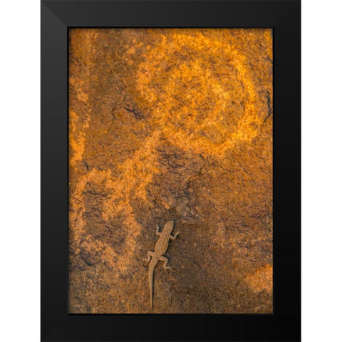 AZ, Painted Rock Petroglyph Site and lizard Black Modern Wood Framed Art Print by Illg, Cathy and Gordon