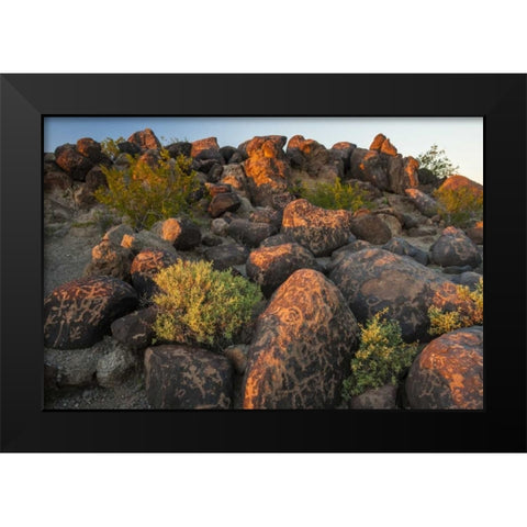 Arizona, Painted Rocks Rocks with petroglyphs Black Modern Wood Framed Art Print by Illg, Cathy and Gordon