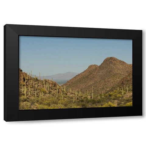 Arizona, Saguaro NP Valley in desert landscape Black Modern Wood Framed Art Print by Illg, Cathy and Gordon