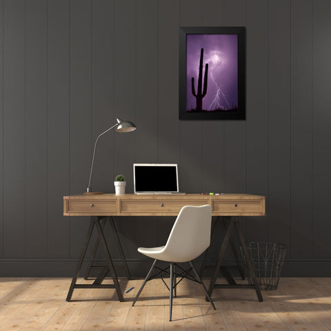 Arizona Saguaro cactus and lightning Black Modern Wood Framed Art Print by Zuckerman, Jim