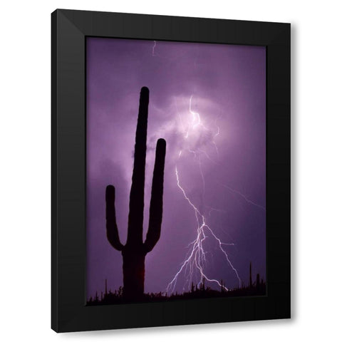 Arizona Saguaro cactus and lightning Black Modern Wood Framed Art Print by Zuckerman, Jim