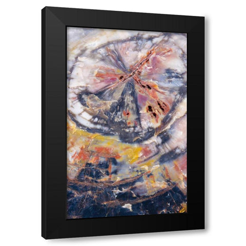Arizona, Petrified Forest Petrified wood detail Black Modern Wood Framed Art Print with Double Matting by Delisle, Gilles