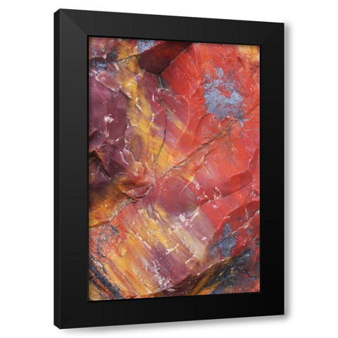 Arizona, Petrified Forest Petrified wood detail Black Modern Wood Framed Art Print with Double Matting by Delisle, Gilles