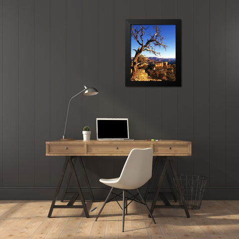 Arizona-Grand Canyon National Park South Rim of canyon  Black Modern Wood Framed Art Print by Jaynes Gallery