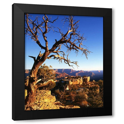 Arizona-Grand Canyon National Park South Rim of canyon  Black Modern Wood Framed Art Print with Double Matting by Jaynes Gallery
