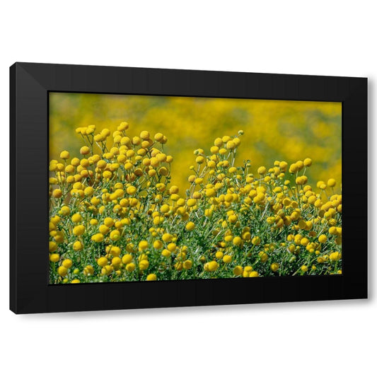 Perspective Image