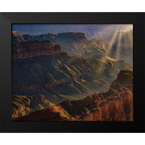 Arizona-Grand Canyon National Park North Rim of Grand Canyon at sunrise  Black Modern Wood Framed Art Print by Jaynes Gallery