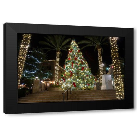 USA-Arizona-Buckeye-Christmas tree in the village square at night Black Modern Wood Framed Art Print by Jaynes Gallery