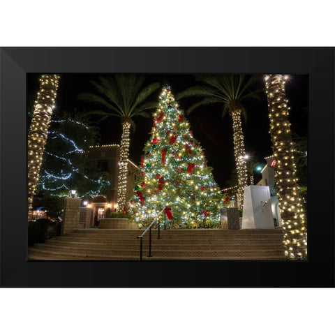USA-Arizona-Buckeye-Christmas tree in the village square at night Black Modern Wood Framed Art Print by Jaynes Gallery