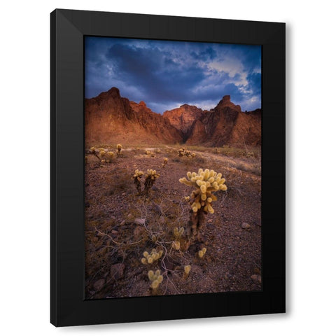 USA-Arizona-Kofa National Wildlife Area-Mountain and desert landscape Black Modern Wood Framed Art Print by Jaynes Gallery