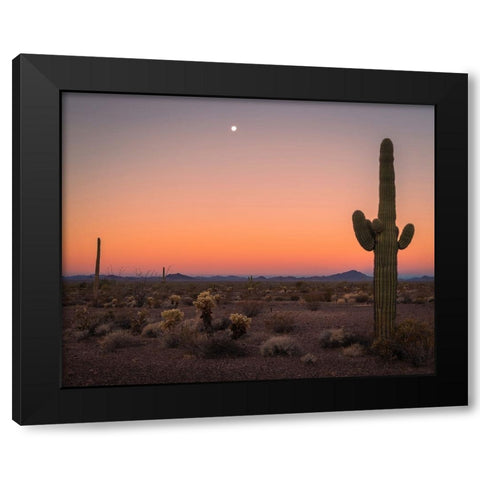 USA-Arizona-Kofa National Wildlife Area-Mountain and desert landscape at sunset Black Modern Wood Framed Art Print by Jaynes Gallery